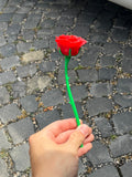 Örök rózsaszál